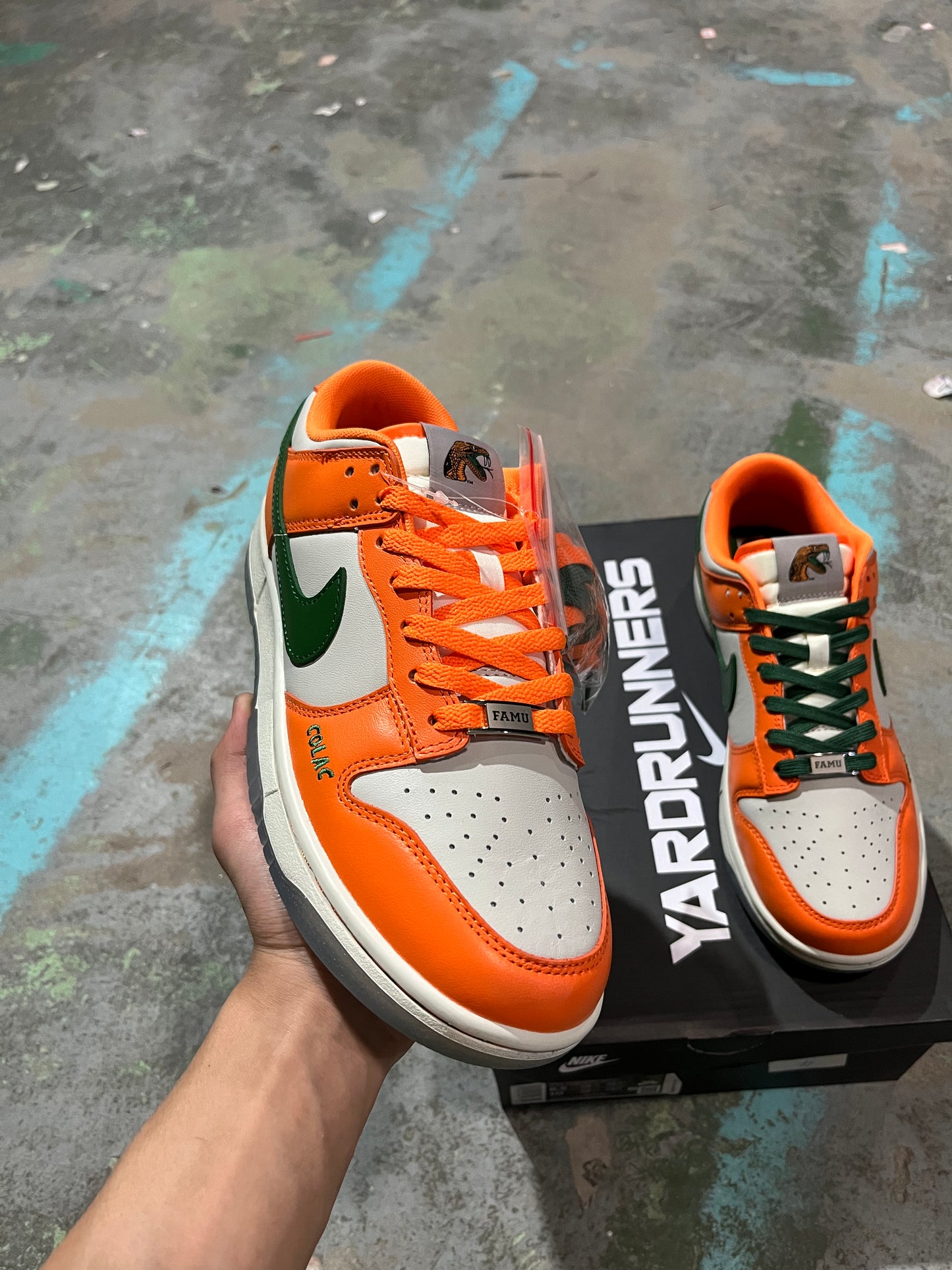 A Nike SB Dunk- Florida A&M University Rattlers
