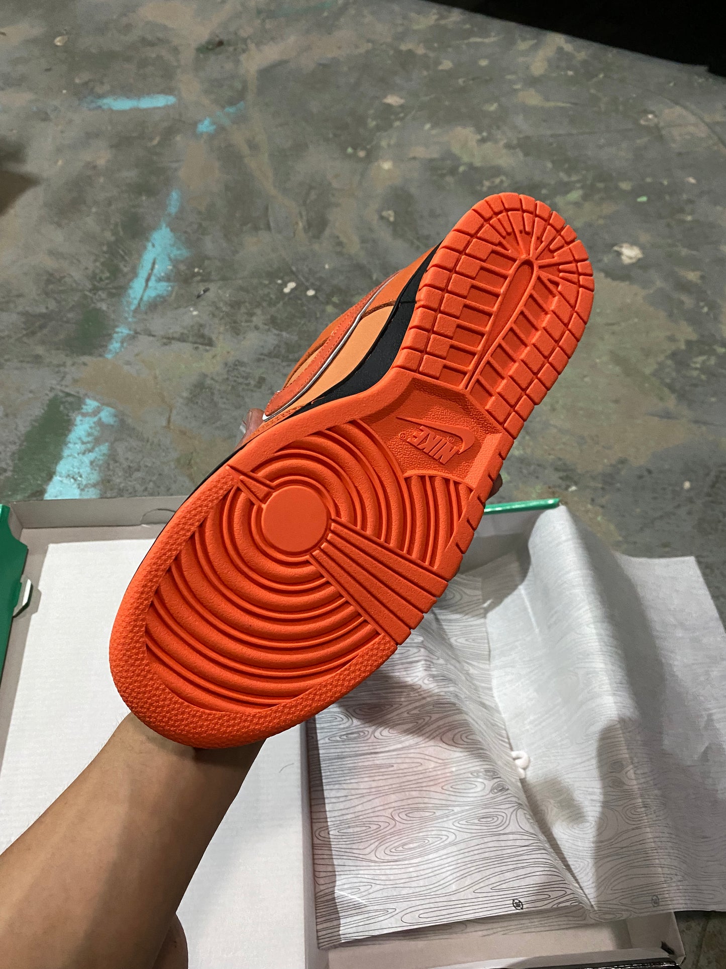 A Nike SB Dunk- Orange Lobster