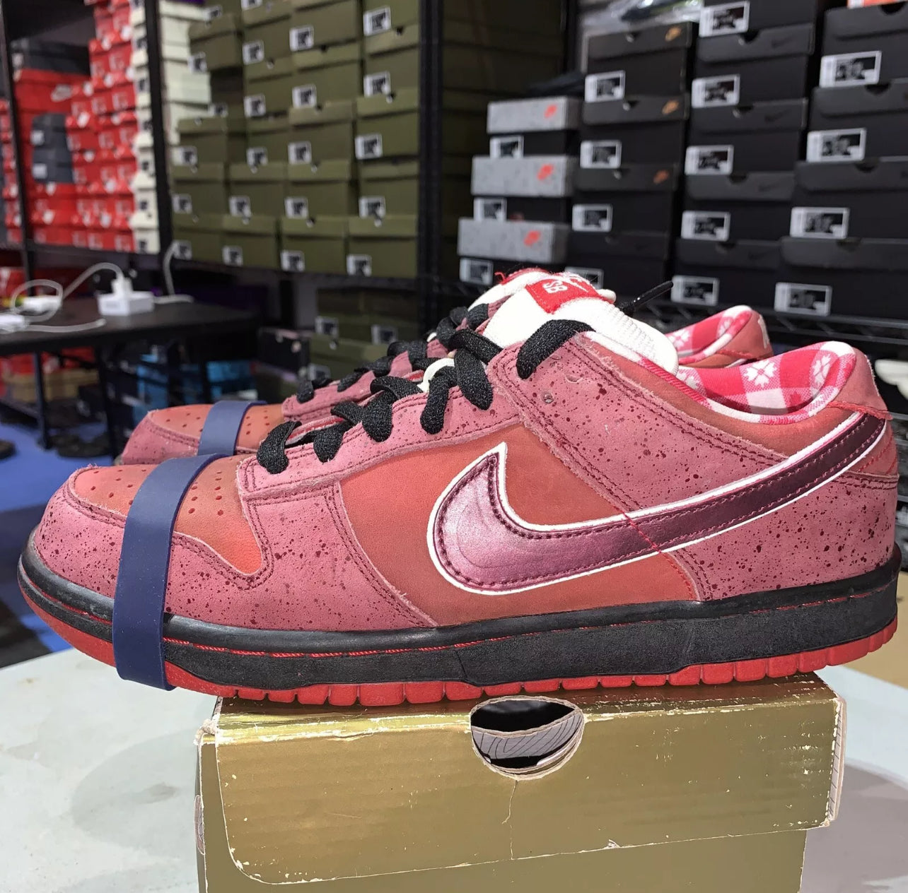 A Nike SB Dunk- Red Lobster