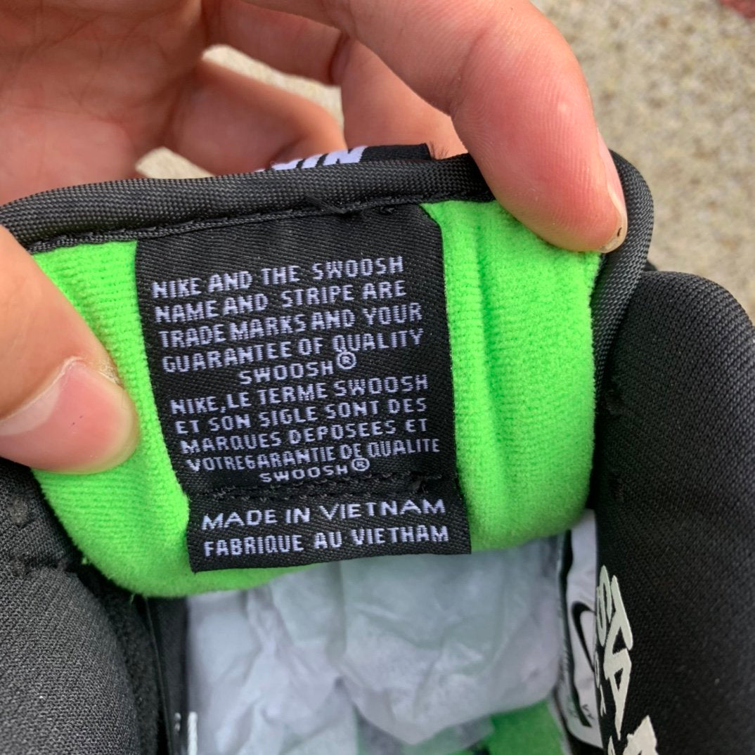 A Nike SB Dunk - Panda Pigeon