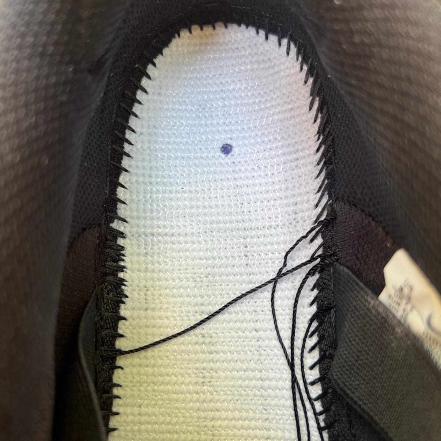 A Nike SB - Hayley Wilson