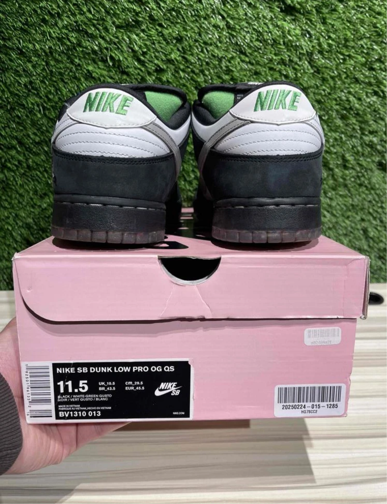 A Nike SB Dunk - Panda Pigeon