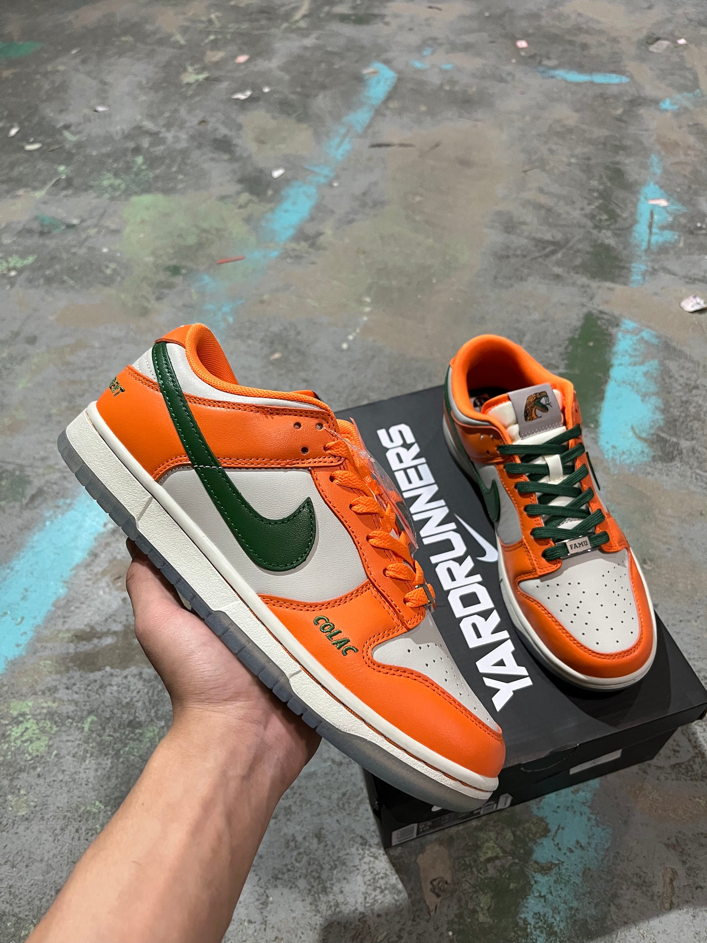 A Nike SB Dunk- Florida A&M University Rattlers