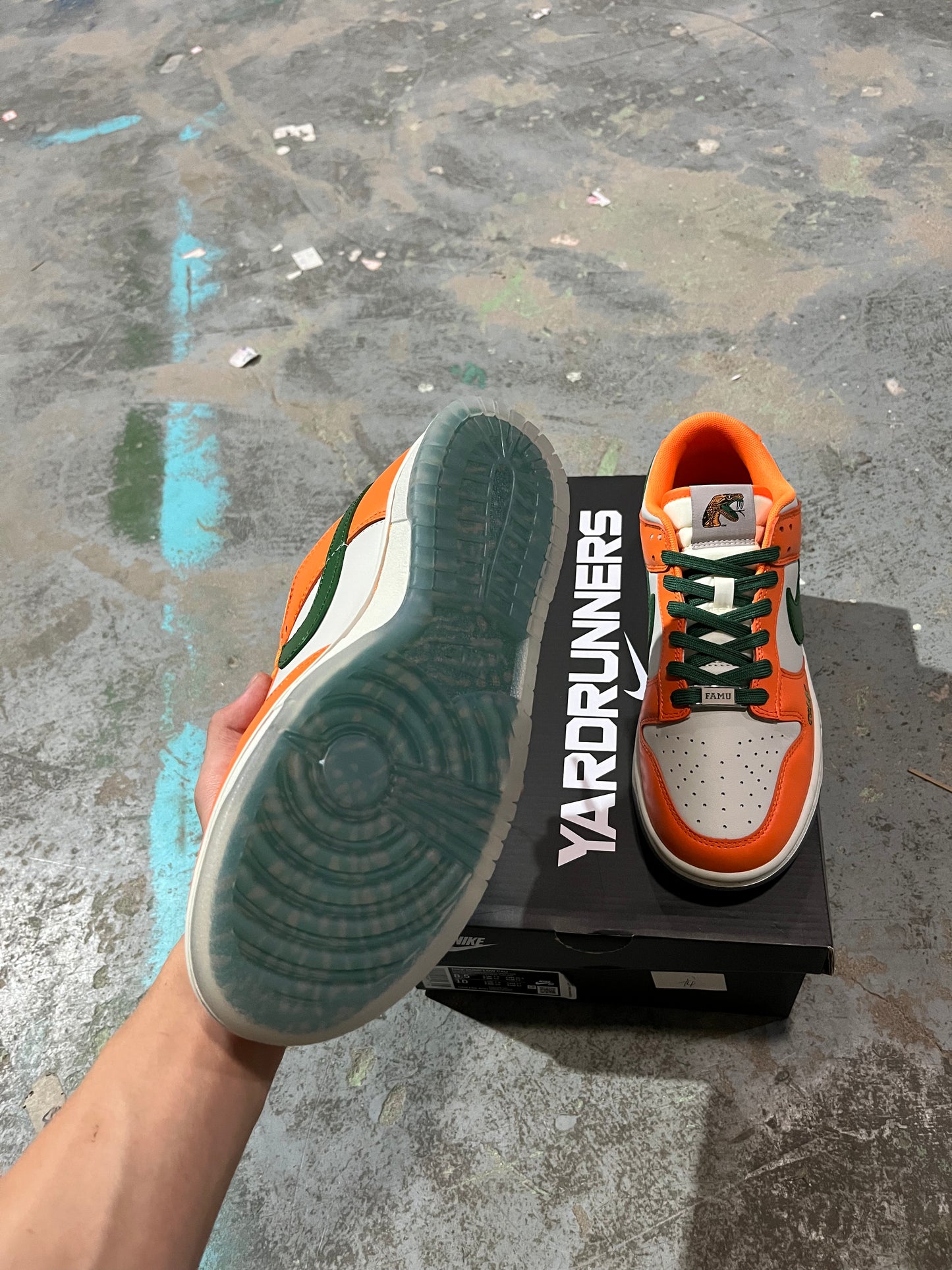 A Nike SB Dunk- Florida A&M University Rattlers