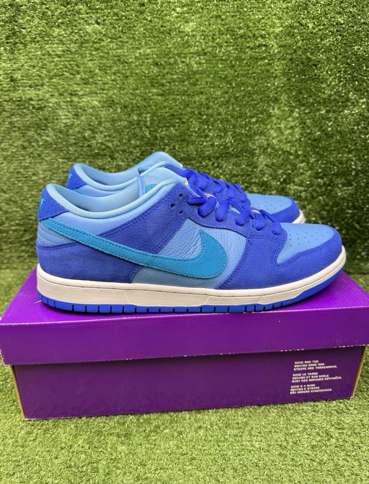 A Nike SB Dunk- Blue Rasperry