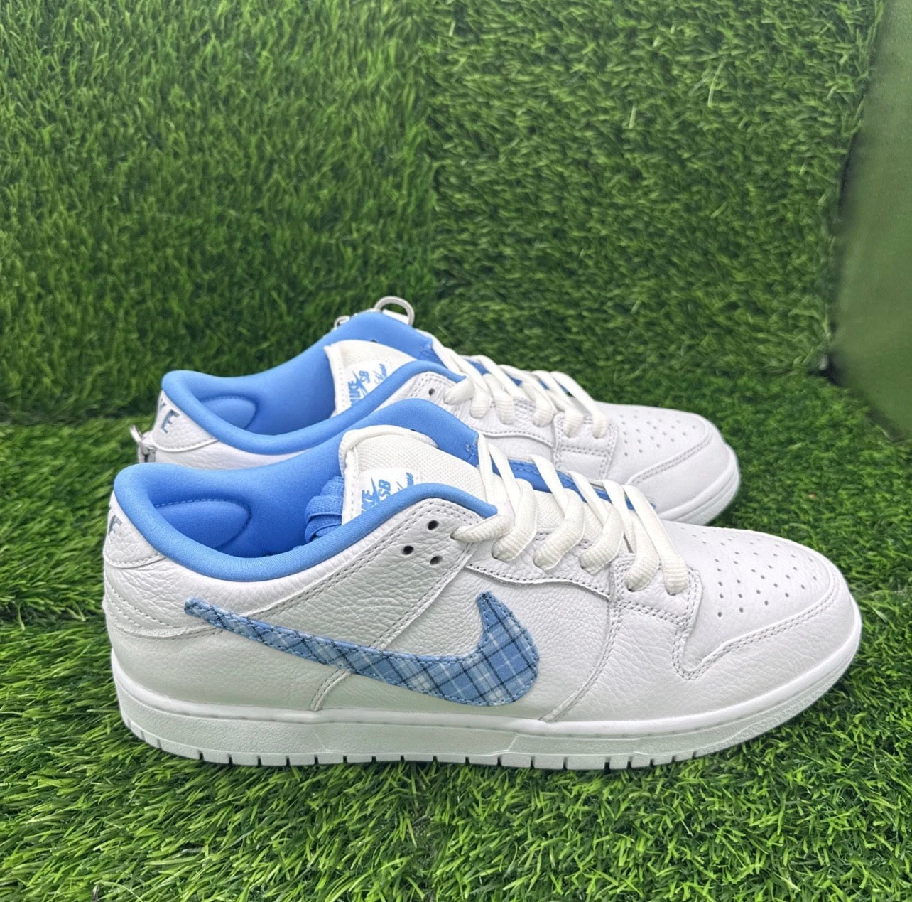 A Nike SB Dunk - Nicole Hause