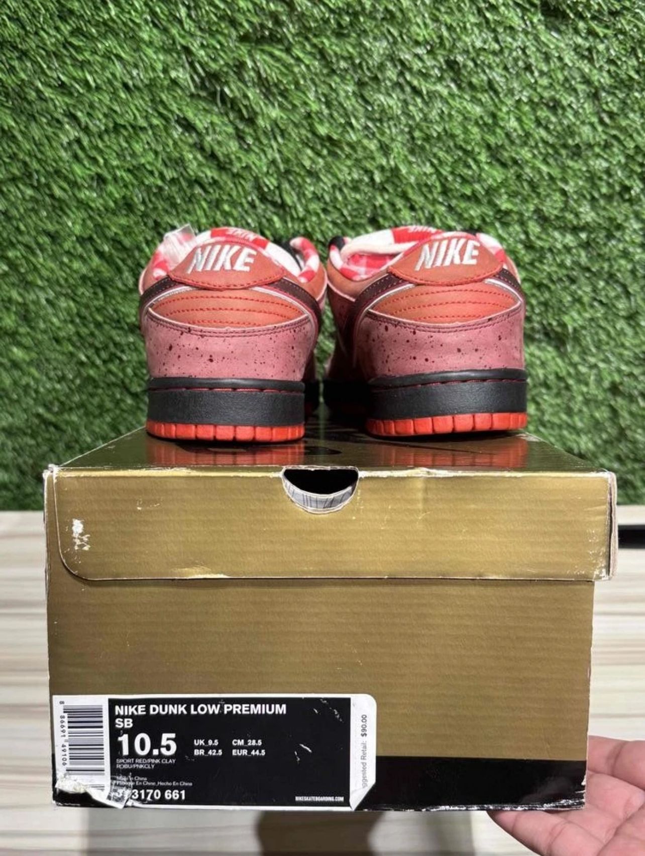 A Nike SB Dunk- Red Lobster