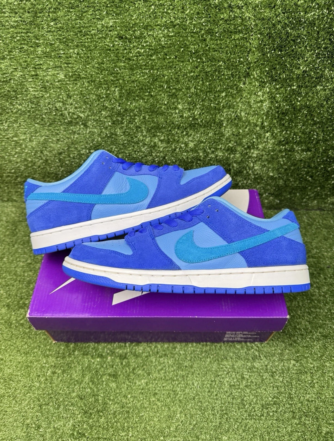 A Nike SB Dunk- Blue Rasperry