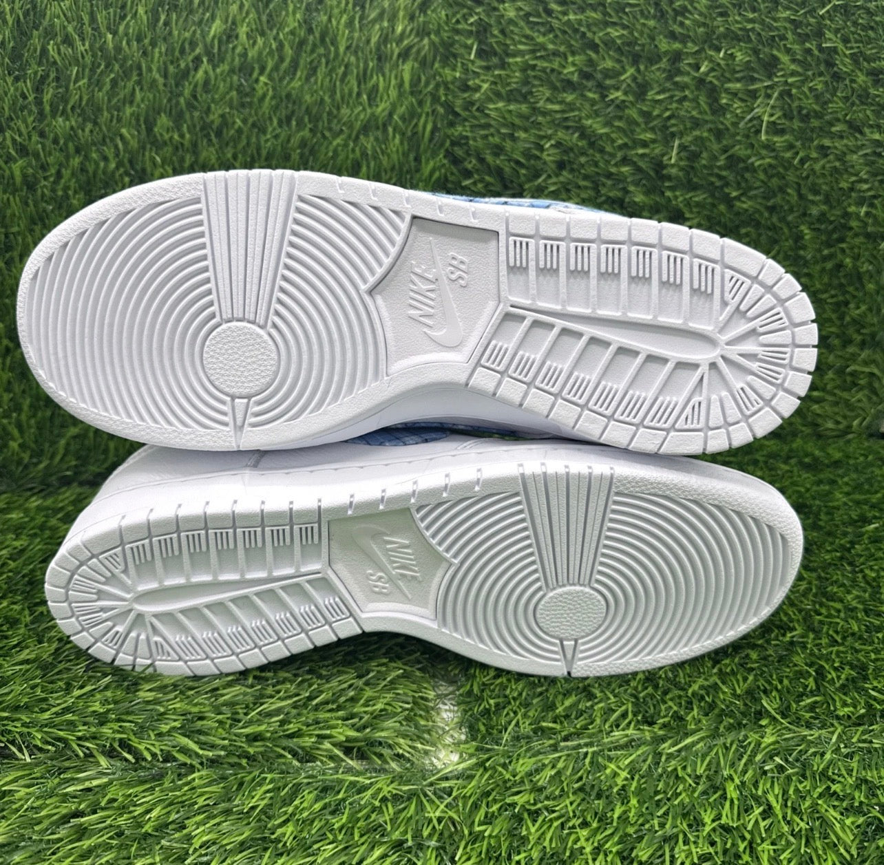 A Nike SB Dunk - Nicole Hause