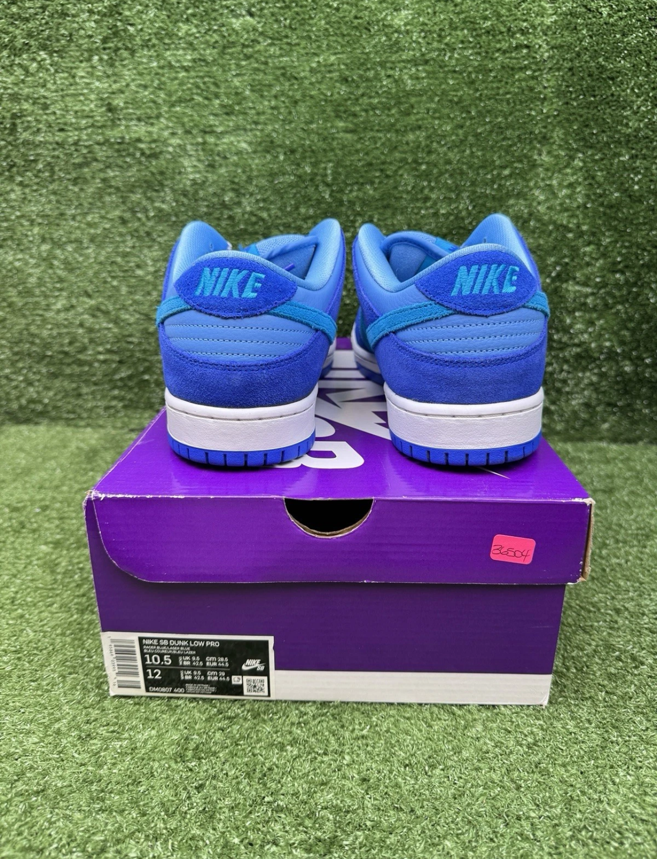 A Nike SB Dunk- Blue Rasperry