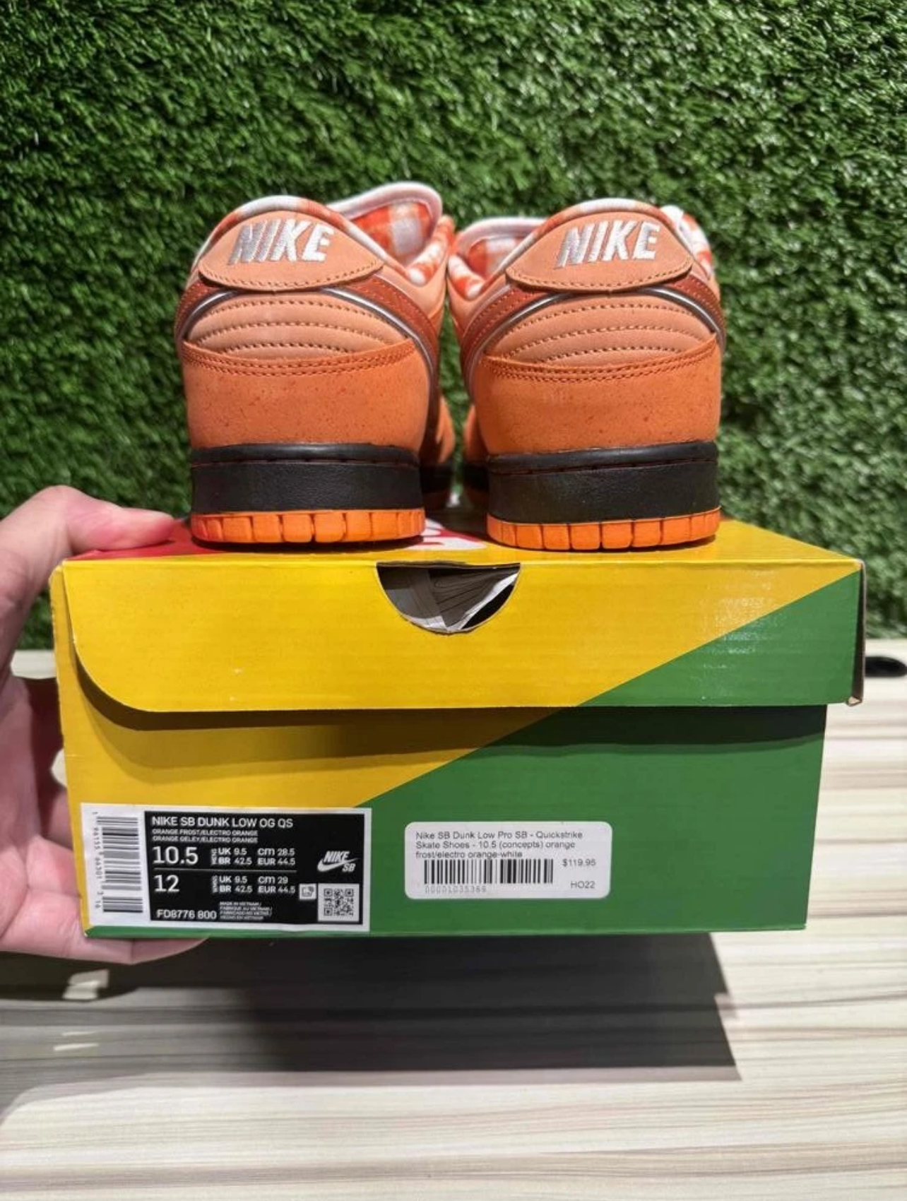 A Nike SB Dunk- Orange Lobster