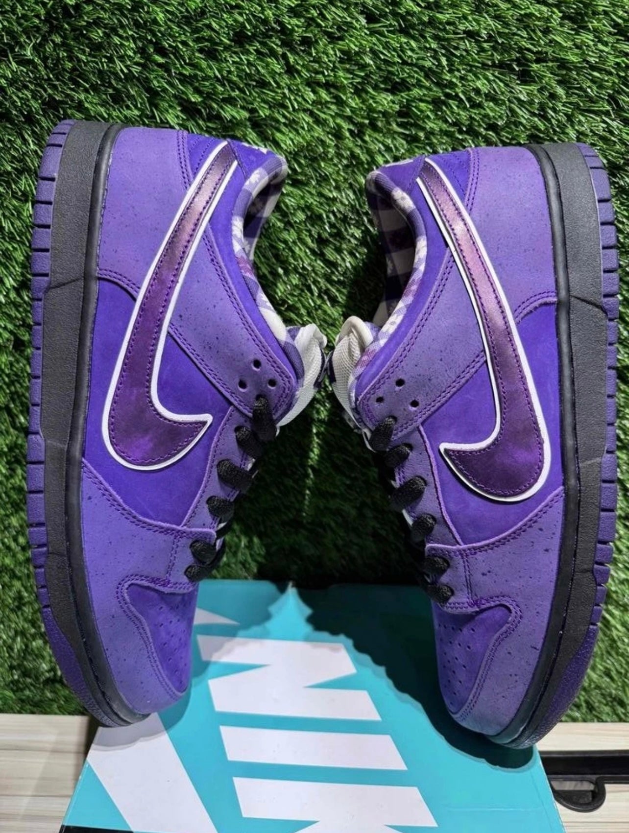 A Nike SB Dunk - Concepts Purple Lobster