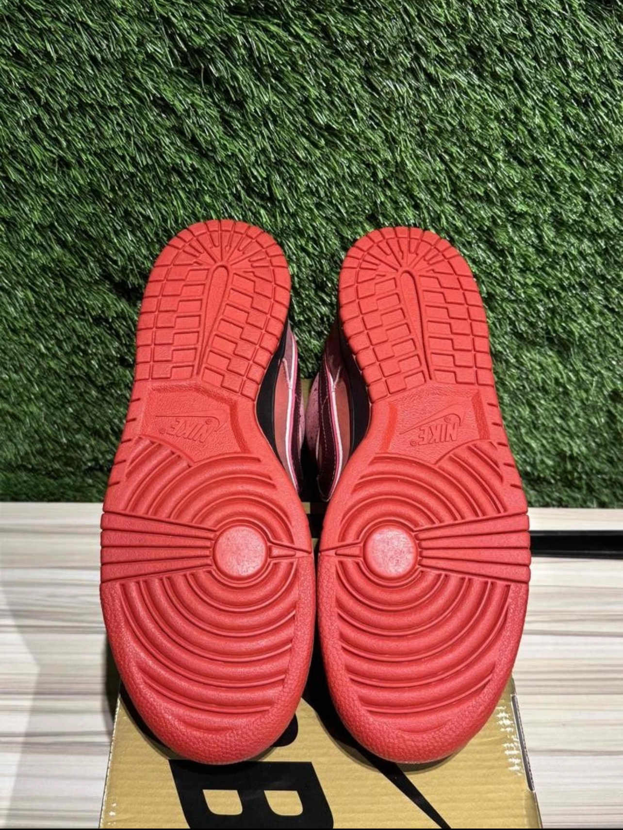 A Nike SB Dunk- Red Lobster