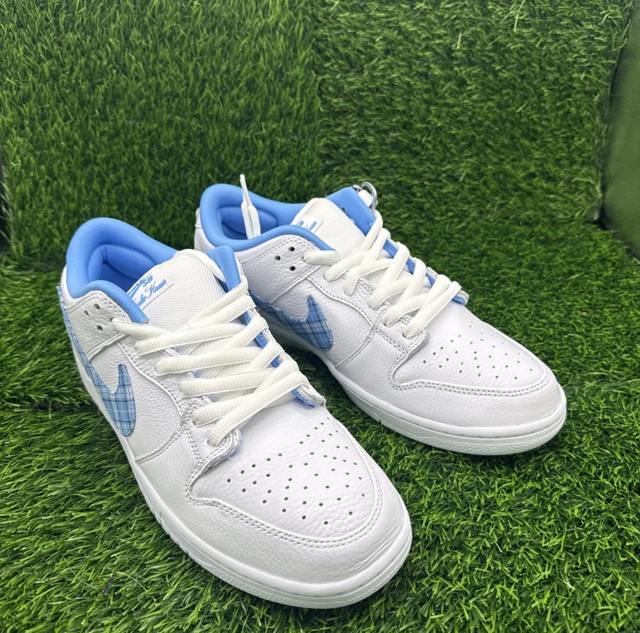 A Nike SB Dunk - Nicole Hause