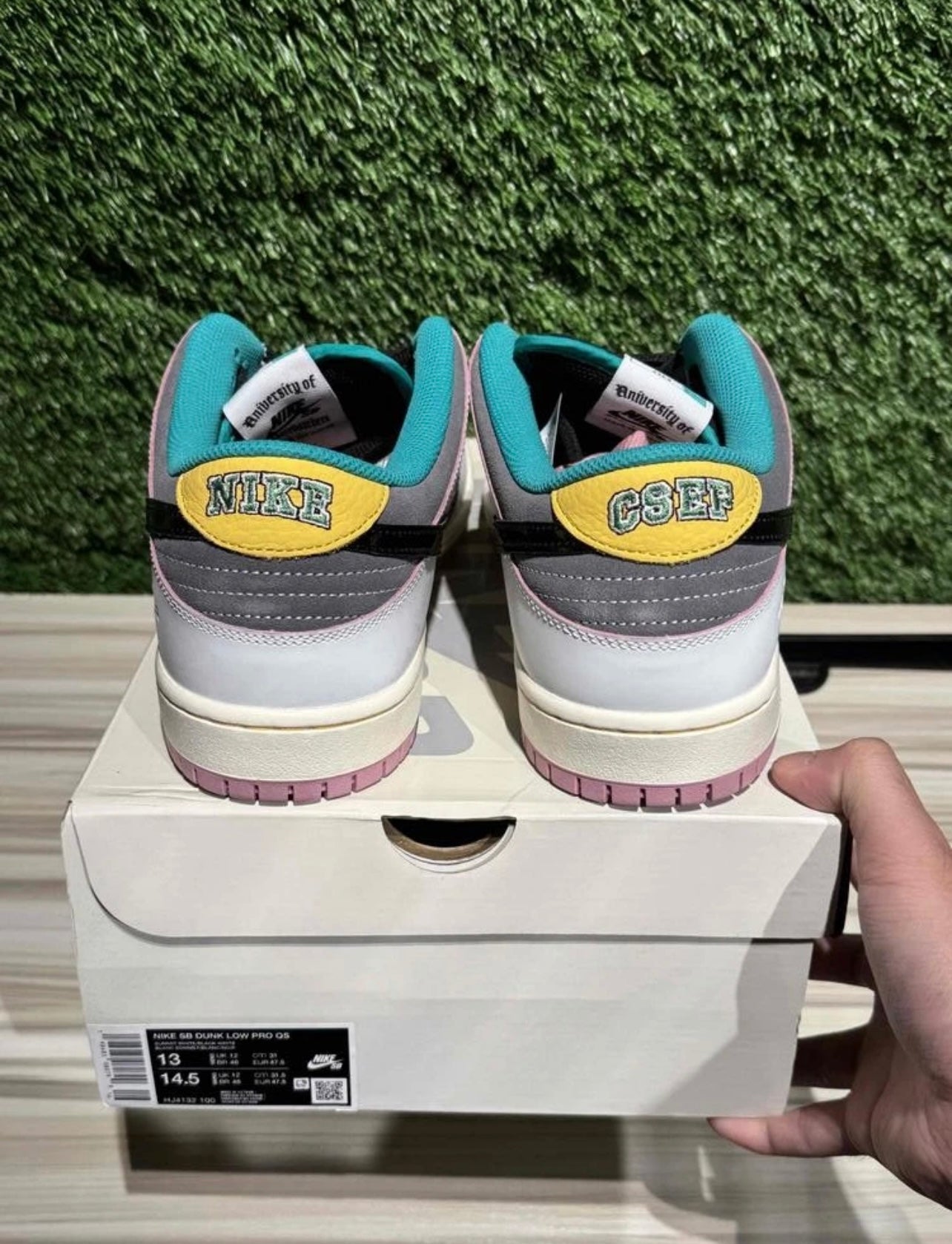 A Nike SB - CSEF University of Skateboard