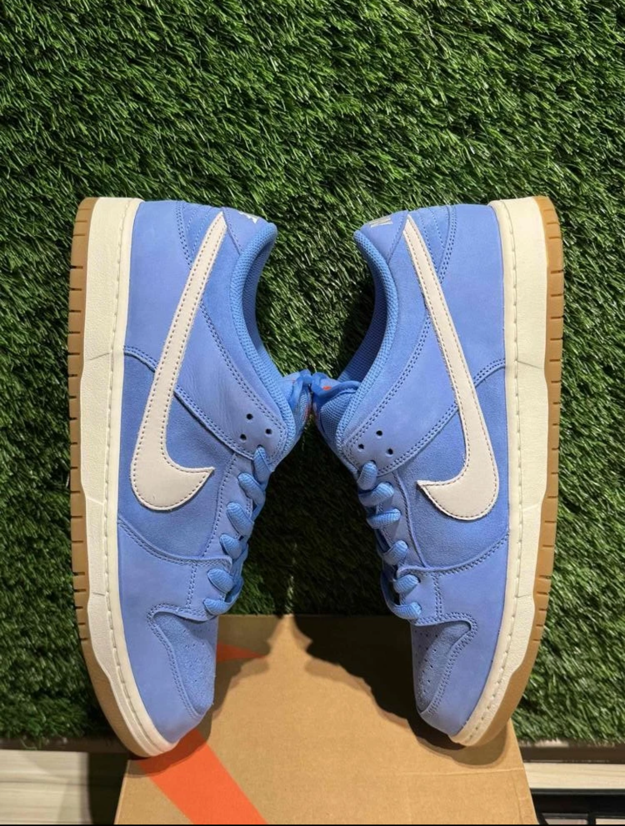 A Nike SB - University Blue Gum