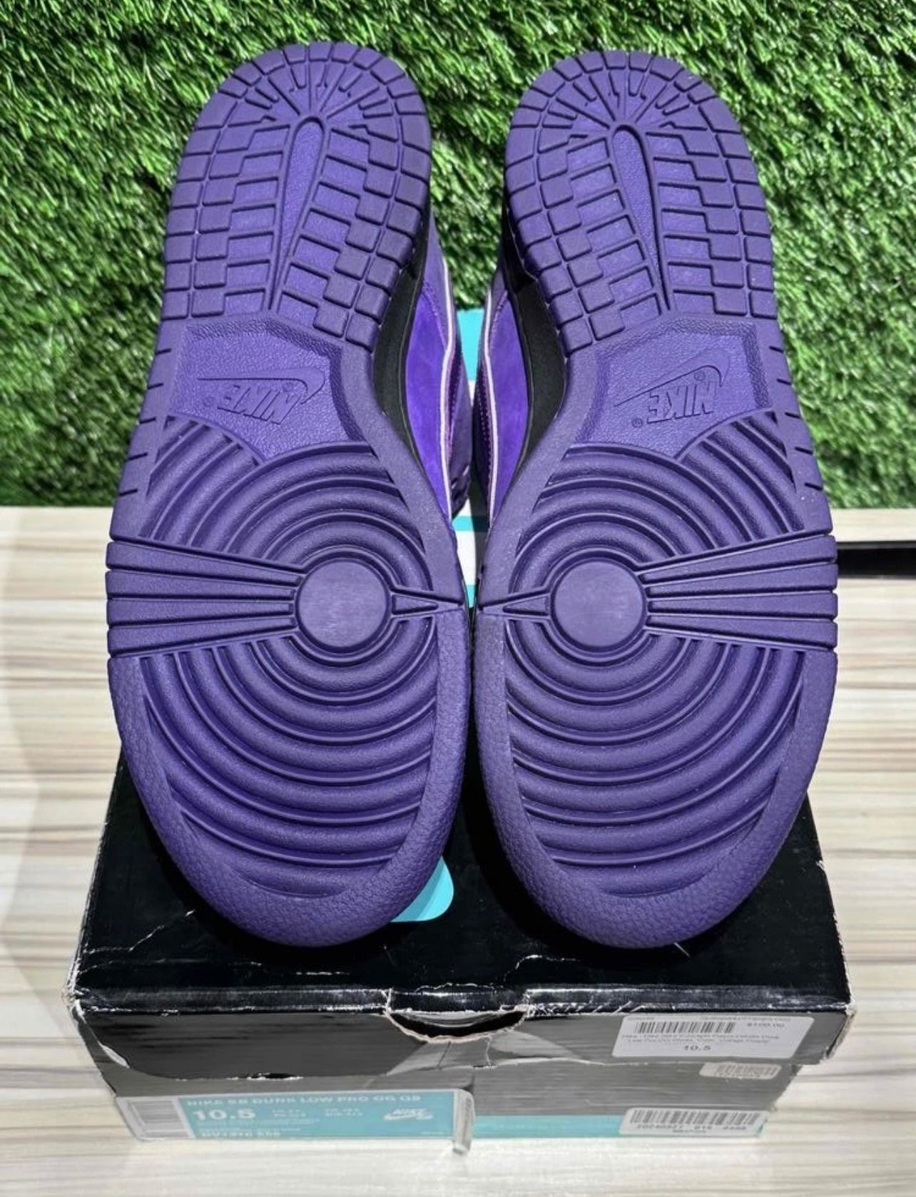 A Nike SB Dunk - Concepts Purple Lobster