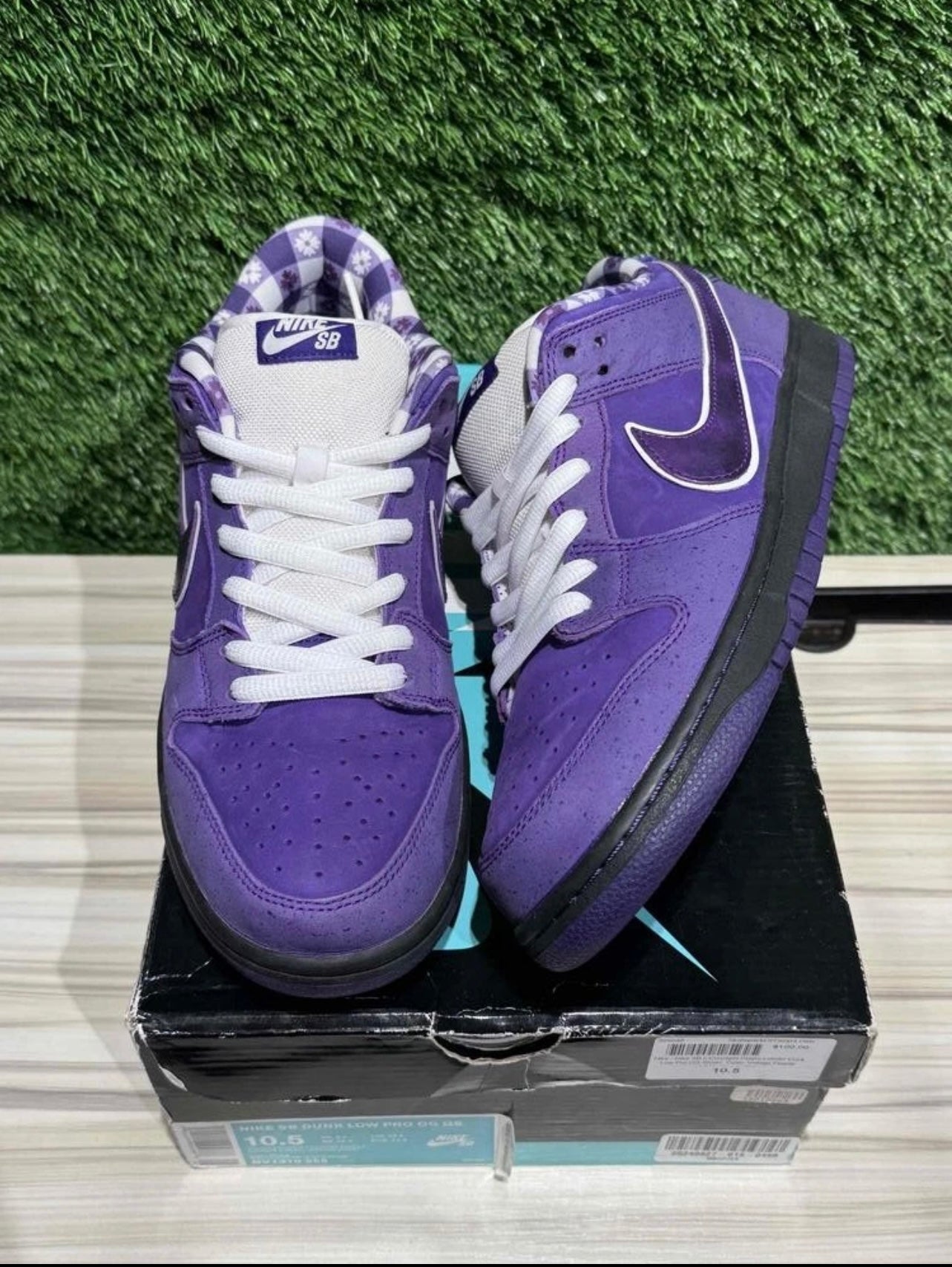 A Nike SB Dunk - Concepts Purple Lobster