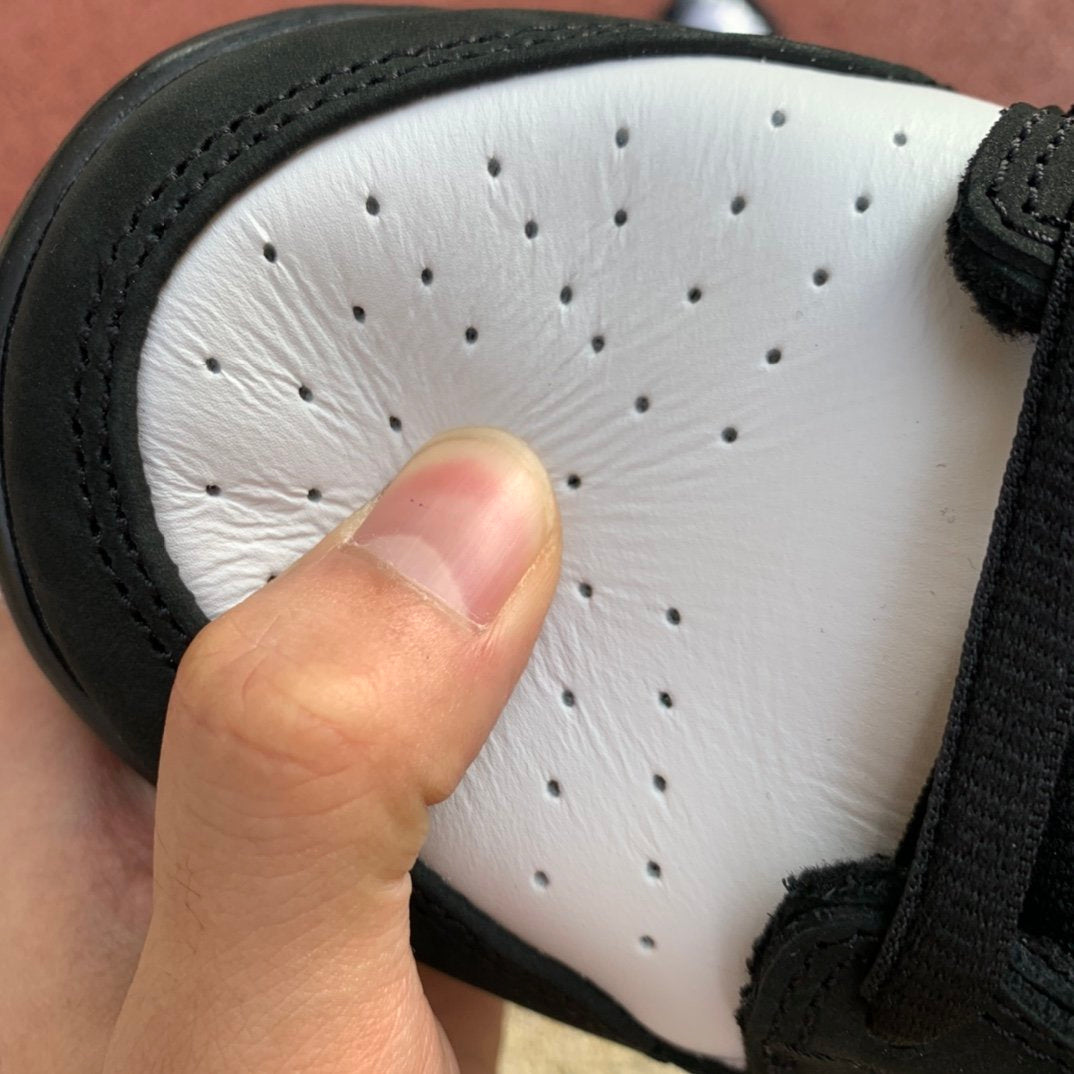 A Nike SB Dunk - Panda Pigeon