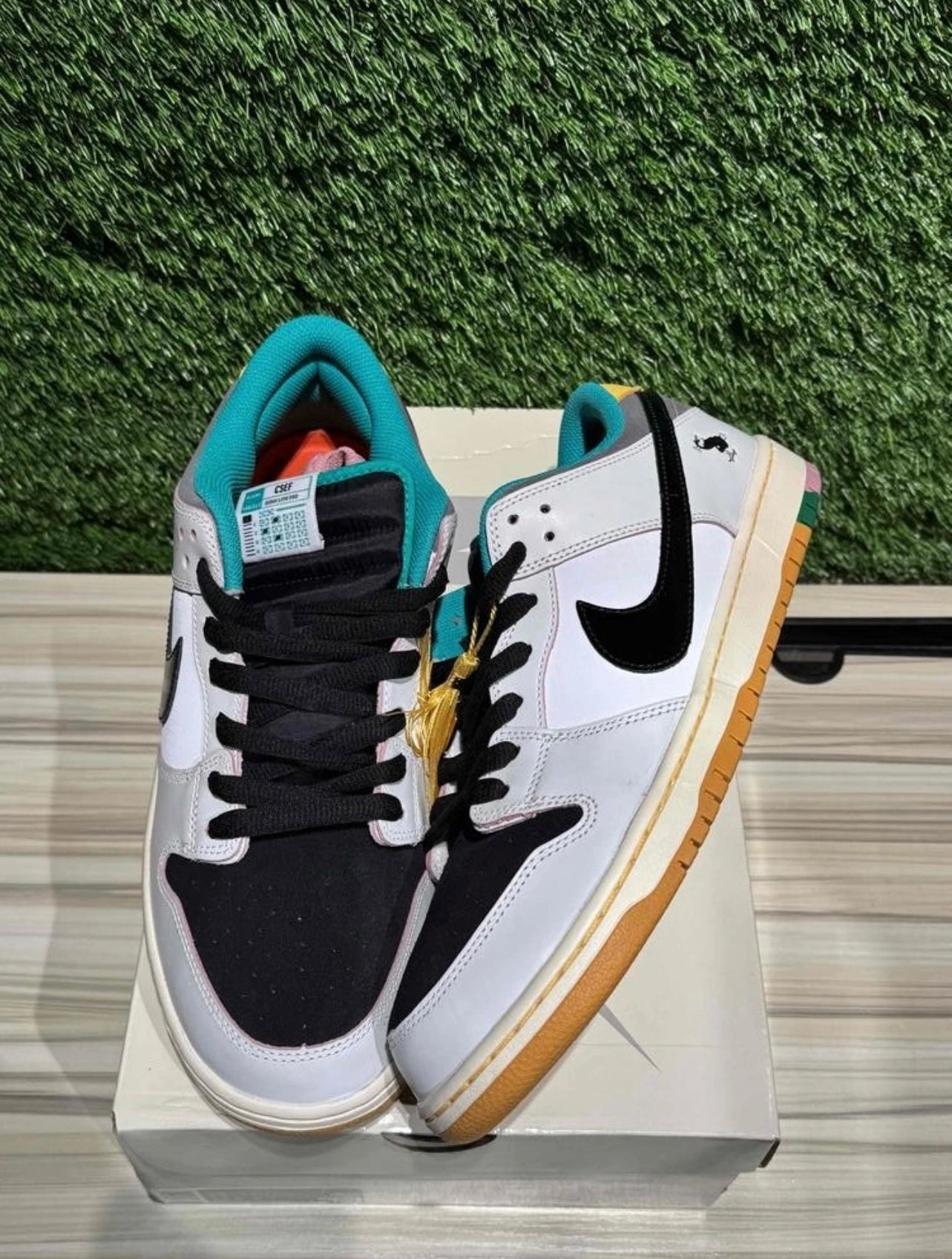 A Nike SB - CSEF University of Skateboard