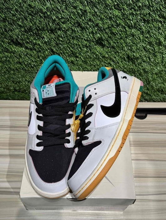 A Nike SB - CSEF University of Skateboard