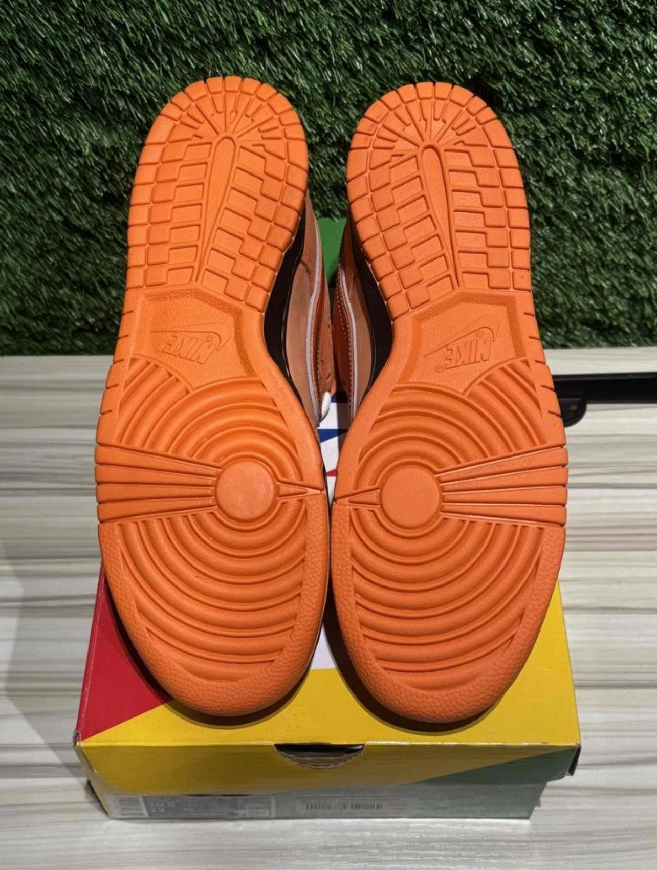 A Nike SB Dunk- Orange Lobster