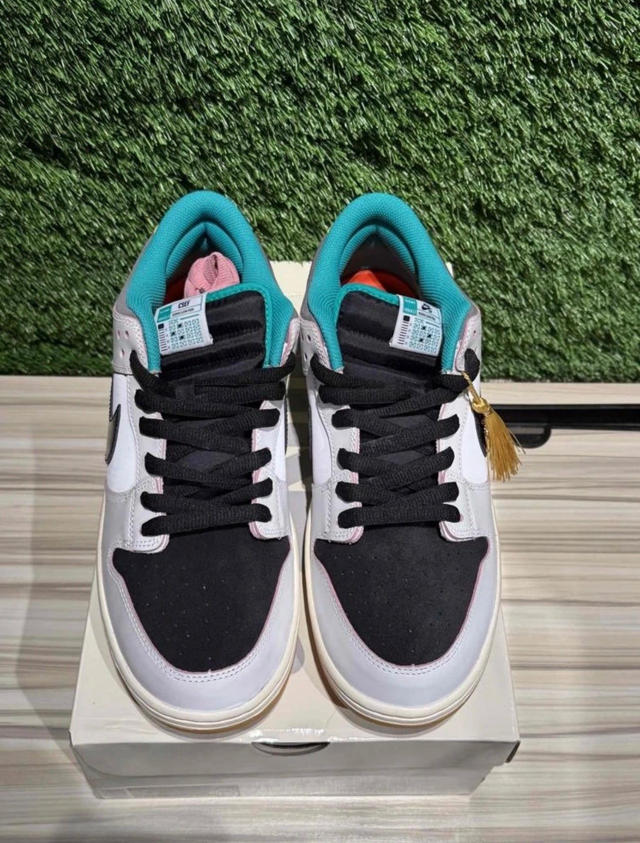 A Nike SB - CSEF University of Skateboard