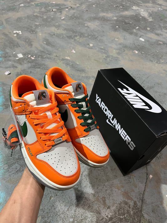 A Nike SB Dunk- Florida A&M University Rattlers
