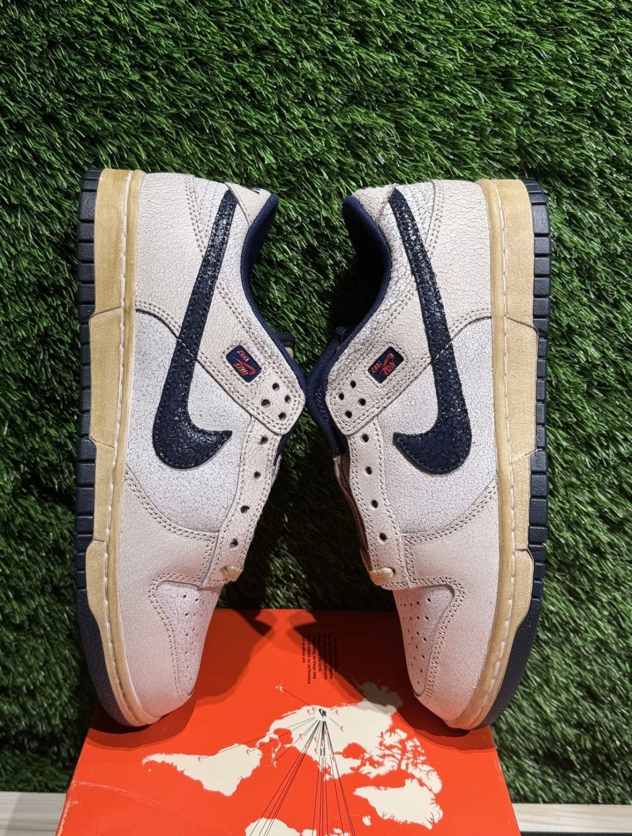 A Nike Dunk - Stranger Things