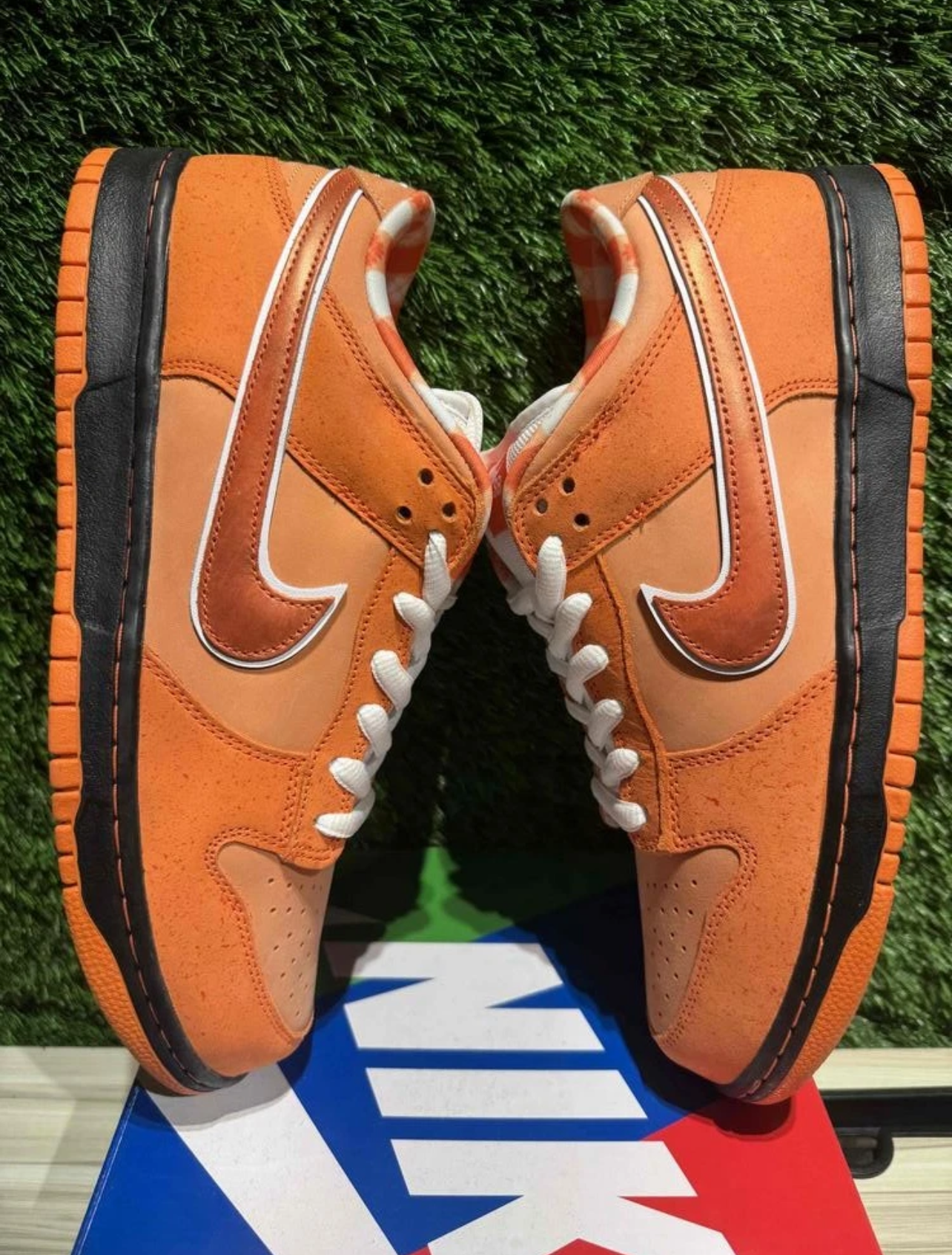 A Nike SB Dunk- Orange Lobster