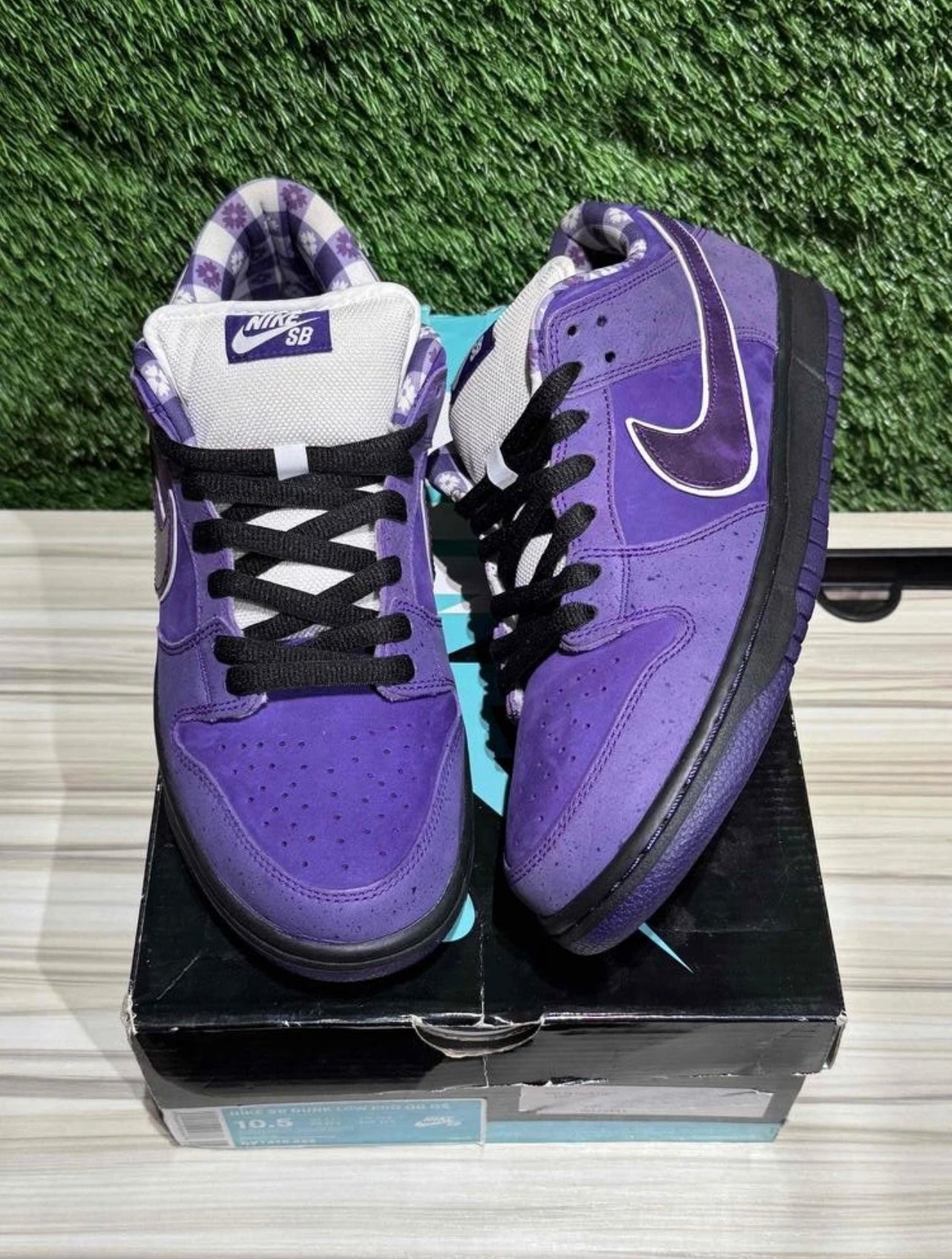 A Nike SB Dunk - Concepts Purple Lobster