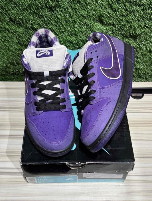A Nike SB Dunk - Concepts Purple Lobster