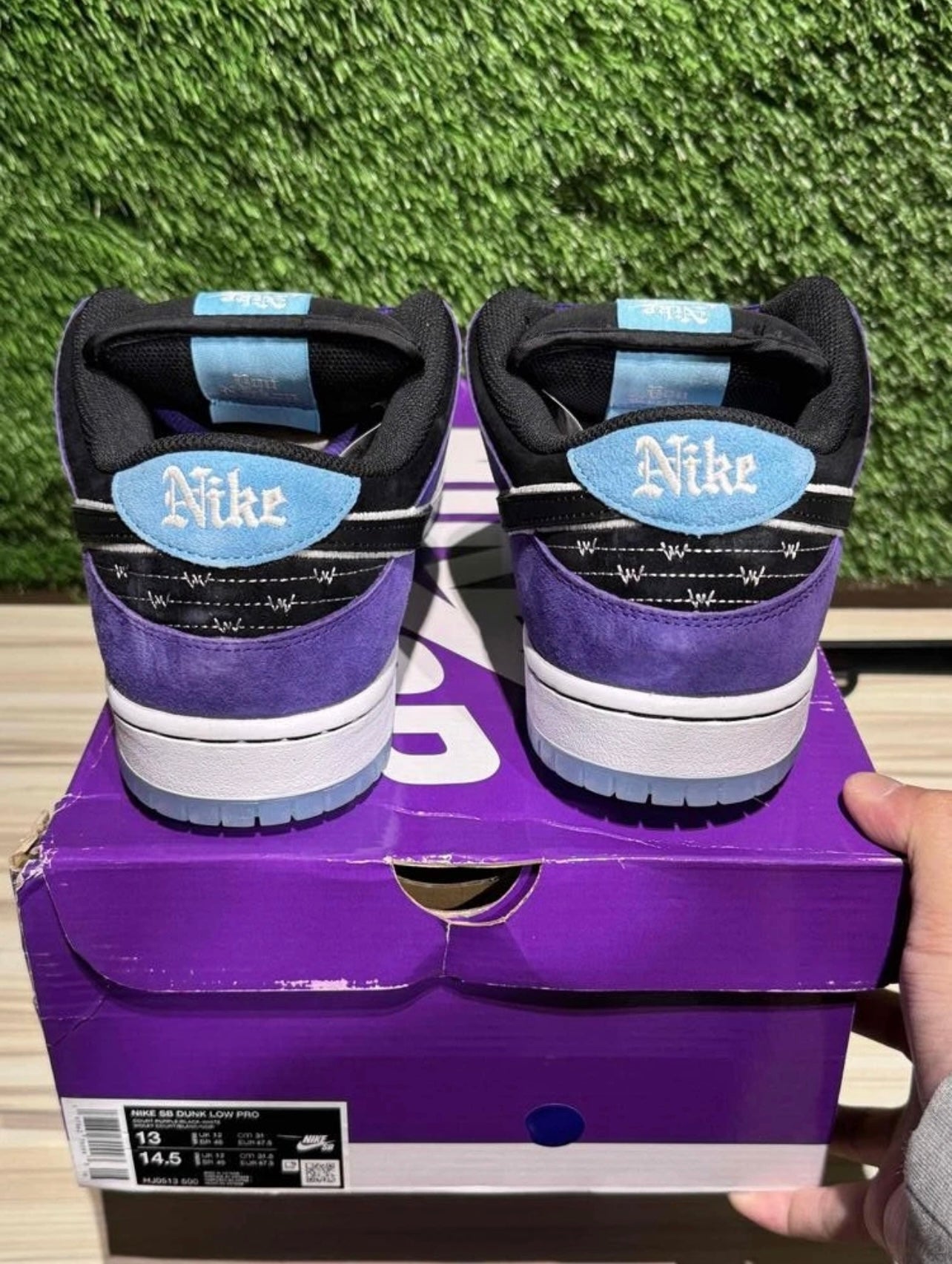 A Nike SB - Hayley Wilson