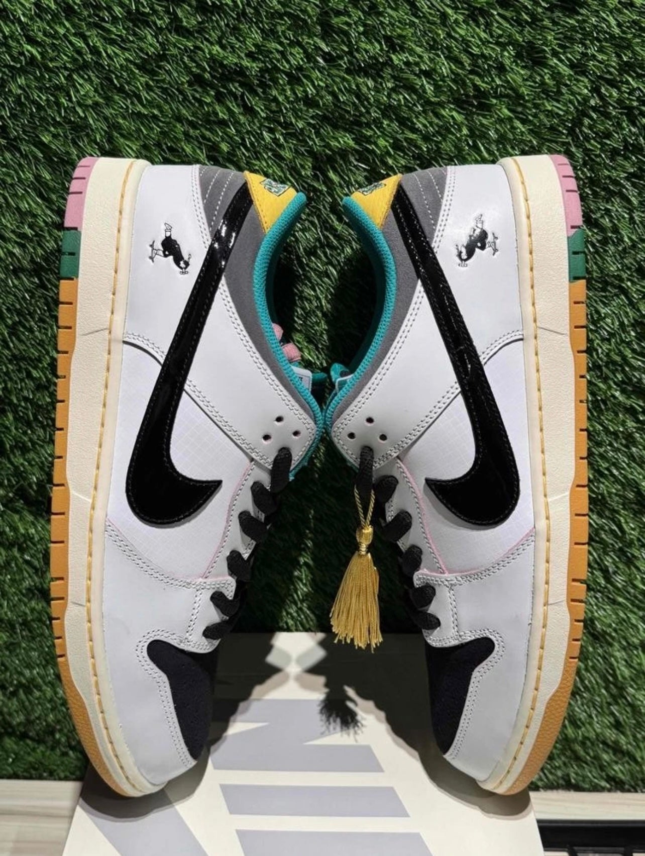 A Nike SB - CSEF University of Skateboard