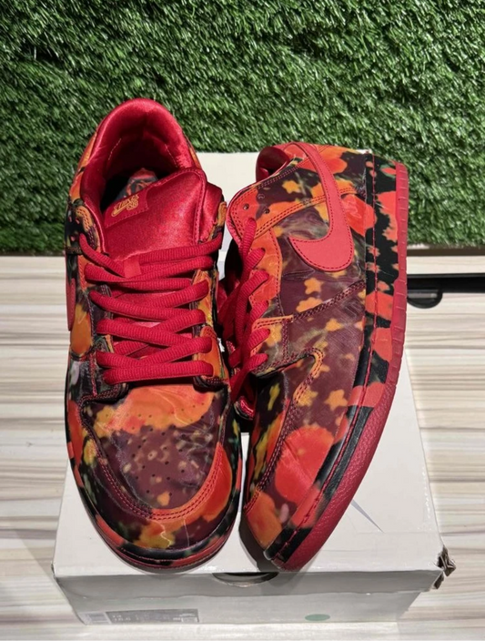 Nike SB - Wizard of Oz