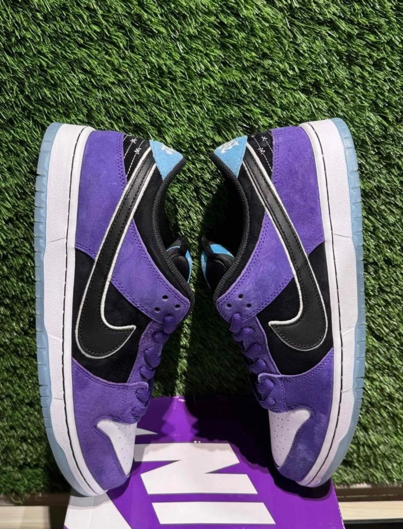 A Nike SB - Hayley Wilson