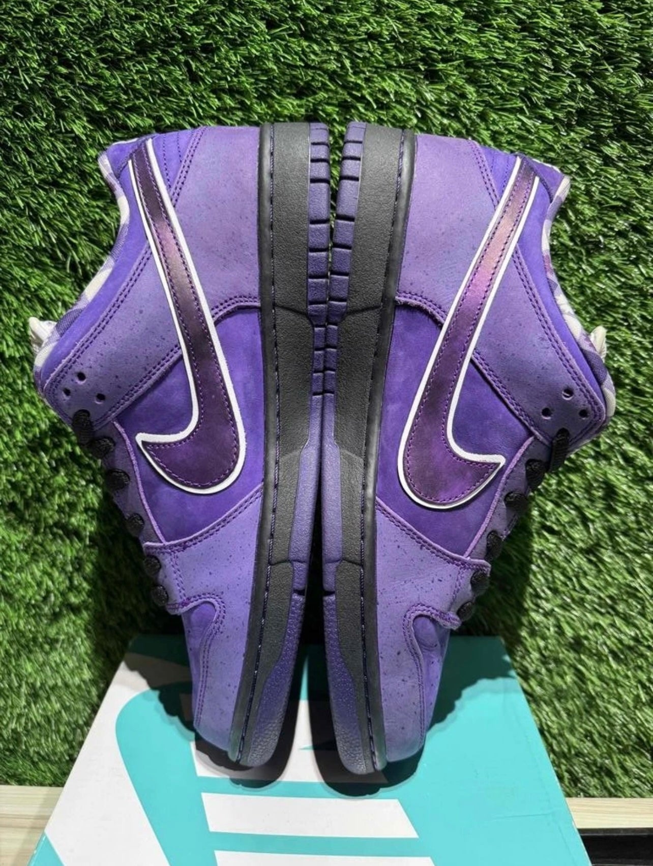 A Nike SB Dunk - Concepts Purple Lobster
