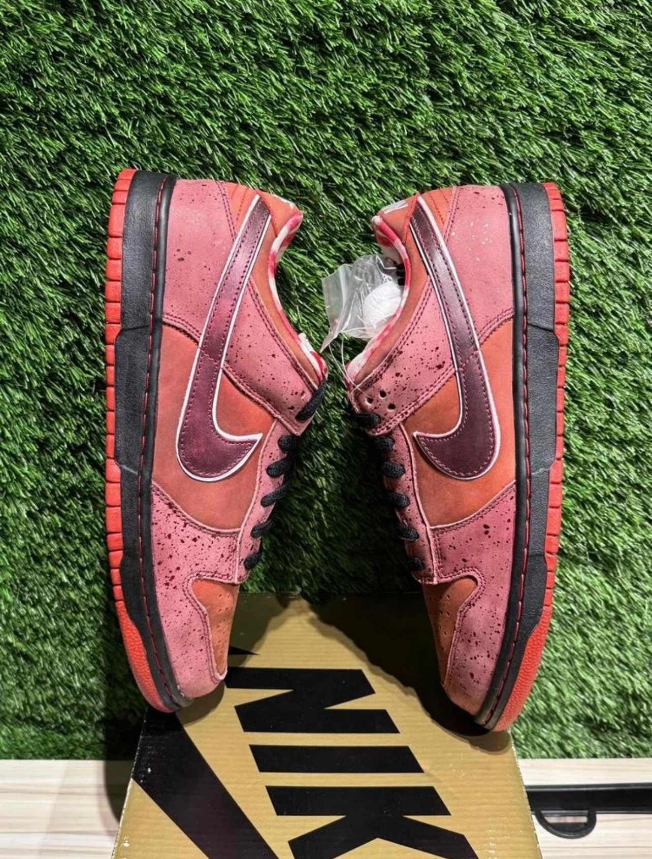 A Nike SB Dunk- Red Lobster